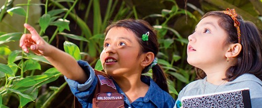 Find more information about Girl Scouts