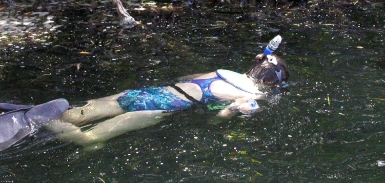 snorkeling image snorkeling image