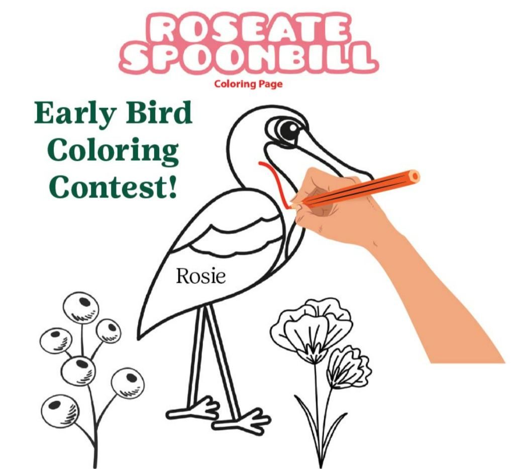 Early Bird Coloring Contest
